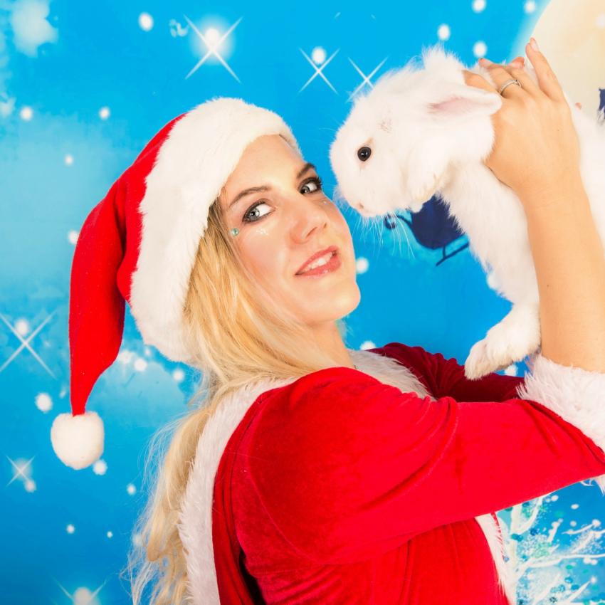 M&egrave;re-No&euml;l