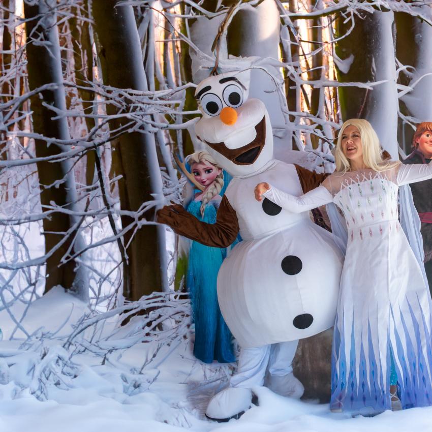 miss-framboise-change-d#039;apparence 15