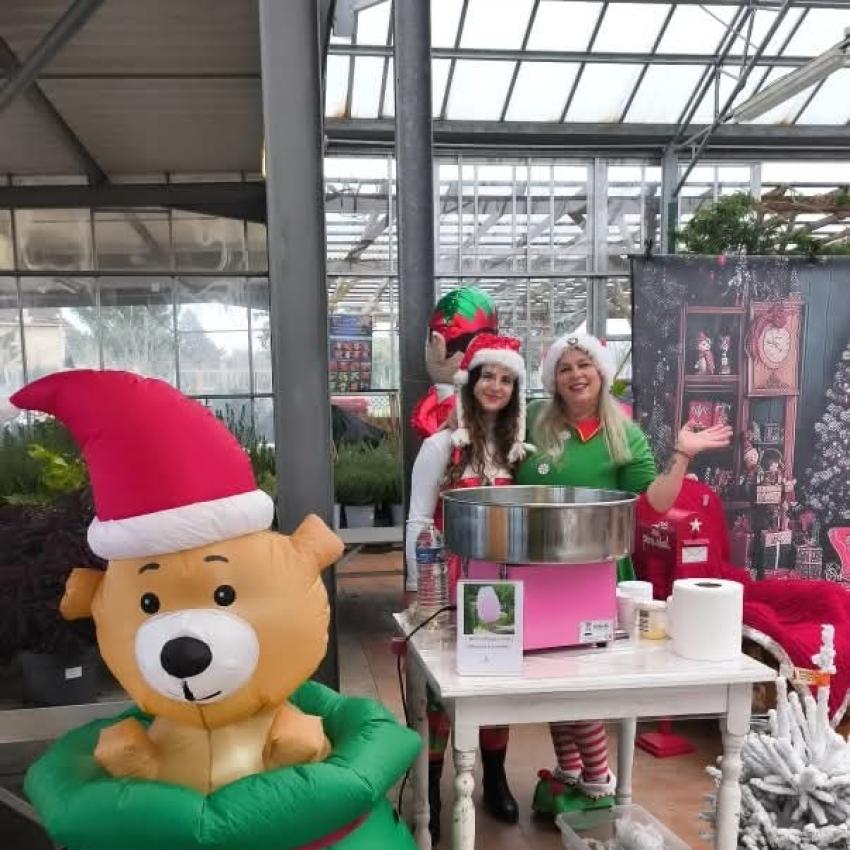 commerces-collectiviteacute;s... 25